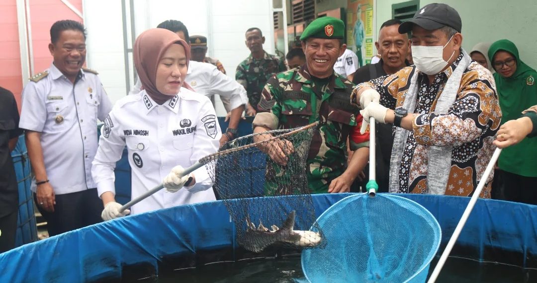 Bupati Lahat Panen Ikan Patin dan Penanaman Bibit Palawija di Koramil 405-02/Merapi