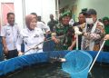 Bupati Lahat Panen Ikan Patin dan Penanaman Bibit Palawija di Koramil 405-02/Merapi