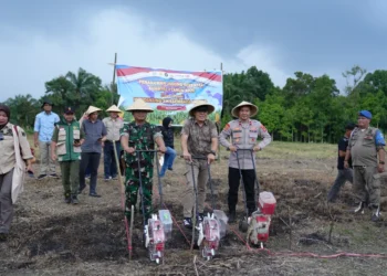 Sekda Lahat Hadiri Penanaman Jagung Serentak, Dukung Program Swasembada Pangan Nasional