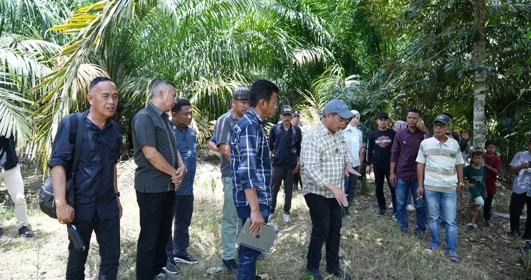 Bupati Lahat Tinjau Potensi Perikanan di Kikim Barat, Dorong Ketahanan Pangan Daerah