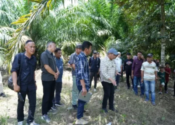 Bupati Lahat Tinjau Potensi Perikanan di Kikim Barat, Dorong Ketahanan Pangan Daerah