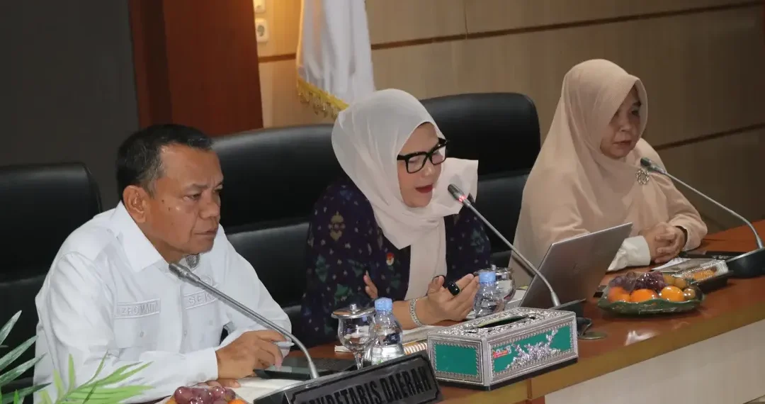 Sekda Lahat Terima Audiensi Organisasi Disabilitas, Perkuat Komitmen Daerah Inklusif