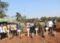 Sekda Lahat Bersama TNI Laksanakan Penanaman Jagung Hibrida untuk Dukung Ketahanan Pangan