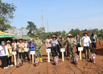 Sekda Lahat Bersama TNI Laksanakan Penanaman Jagung Hibrida untuk Dukung Ketahanan Pangan