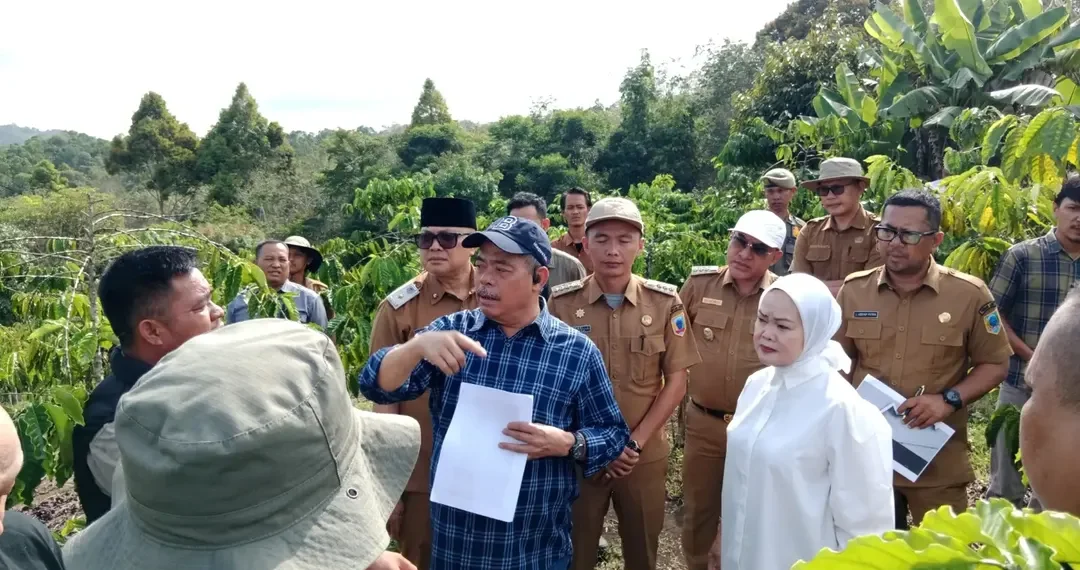 Bupati Lahat Tinjau Kawasan Megalit Gumay Ulu, Siapkan Destinasi Wisata dan Kuliner Unggulan