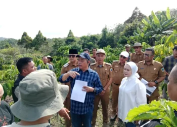 Bupati Lahat Tinjau Kawasan Megalit Gumay Ulu, Siapkan Destinasi Wisata dan Kuliner Unggulan