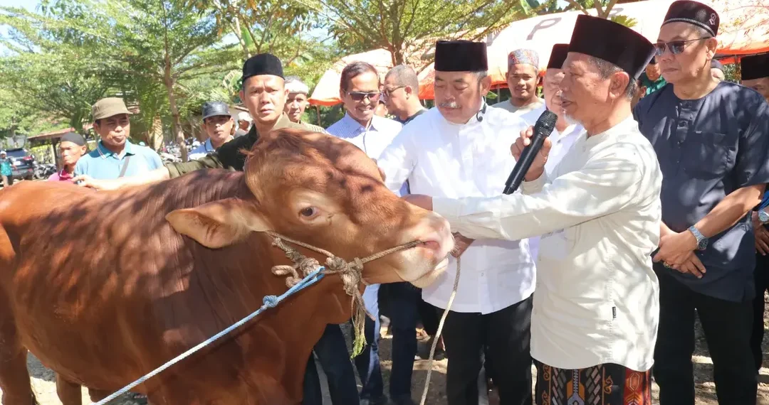 Bupati dan Wakil Bupati Lahat Serahkan Hewan Kurban kepada Keluarga Besar NU, Perkuat Ukhuwah dan Kepedulian Sosial
