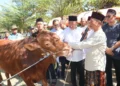 Bupati dan Wakil Bupati Lahat Serahkan Hewan Kurban kepada Keluarga Besar NU, Perkuat Ukhuwah dan Kepedulian Sosial