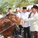 Bupati dan Wakil Bupati Lahat Serahkan Hewan Kurban kepada Keluarga Besar NU, Perkuat Ukhuwah dan Kepedulian Sosial