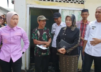 Wabup Lahat Tinjau Korban Kebakaran di Kelurahan Kota Baru, Pastikan Bantuan dan Penanganan Berjalan Optimal