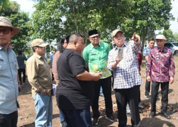 Bupati Lahat Percepat Penataan Kawasan Situs Megalit Tinggi Hari Menuju Destinasi Wisata Sejarah Berkelas
