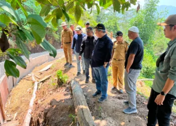 Bupati Lahat Tinjau Rehabilitasi Irigasi Padang Benawa, Tekankan Kualitas Pekerjaan Infrastruktur