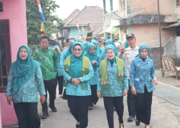 TP-PKK Provinsi Sumsel Lakukan Pembinaan dan Evaluasi 10 Program Pokok PKK di Desa Banjarsari