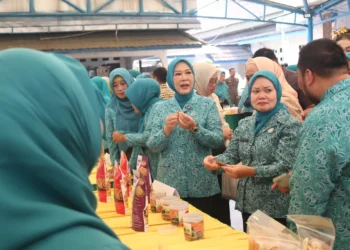 TP-PKK Lahat Sambut Kunjungan Ketua TP-PKK Sumsel dalam Pembinaan 10 Program Pokok PKK