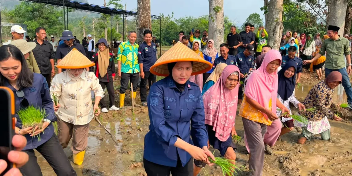 Rehabilitasi Bendungan dan Irigasi di Desa Padang Kembali Dukung Pengairan 300 Hektare Sawah