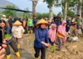 Rehabilitasi Bendungan dan Irigasi di Desa Padang Kembali Dukung Pengairan 300 Hektare Sawah