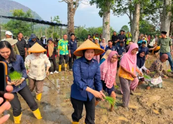 Rehabilitasi Bendungan dan Irigasi di Desa Padang Kembali Dukung Pengairan 300 Hektare Sawah