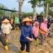 Rehabilitasi Bendungan dan Irigasi di Desa Padang Kembali Dukung Pengairan 300 Hektare Sawah