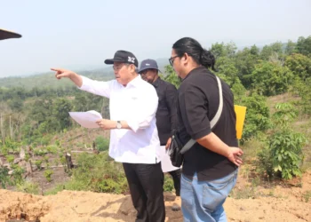 Bupati Lahat Tinjau Pengembangan Situs Megalith Tinggi Hari, Fasilitas Ditargetkan Rampung November