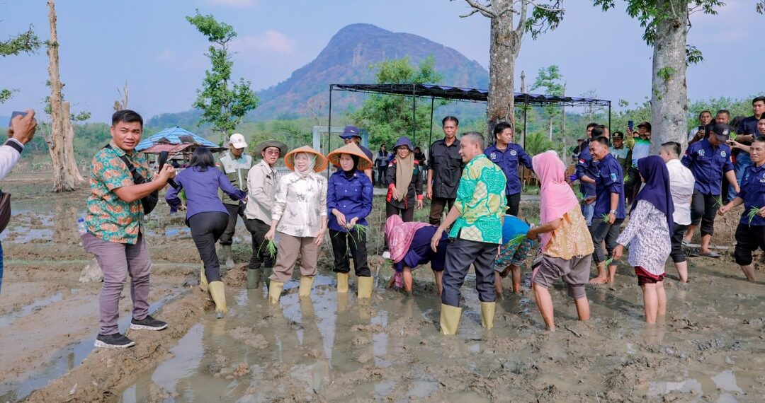 Wabup Lahat Tinjau Bendungan Irigasi Rusak di Desa Padang, Serap Aspirasi Petani
