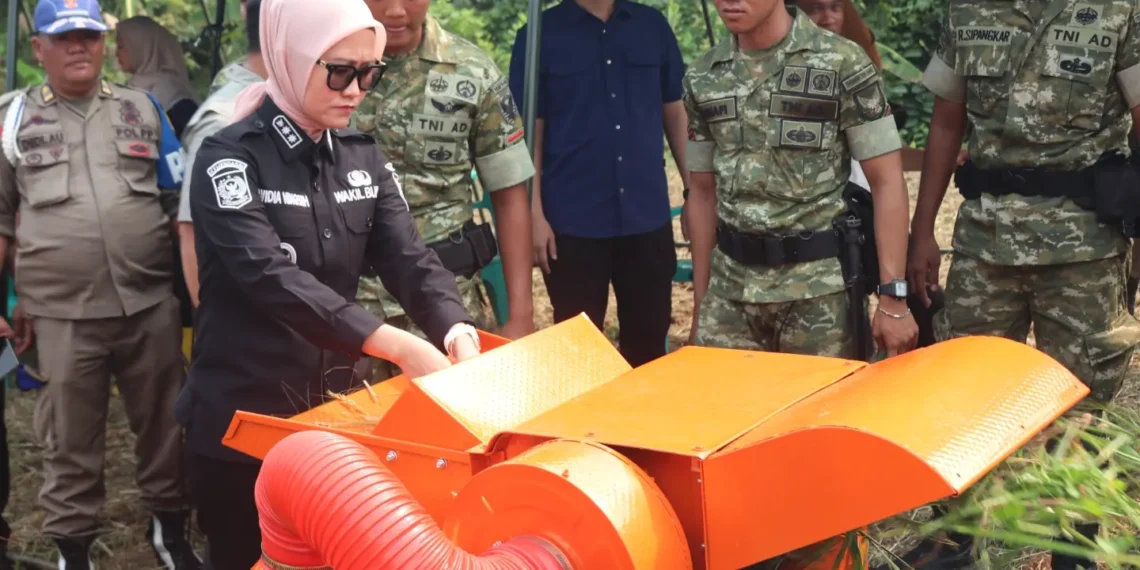 Wabup Lahat Hadiri Panen Padi Perdana Yonif TP 894, Perkuat Sinergi Dukung Ketahanan Pangan