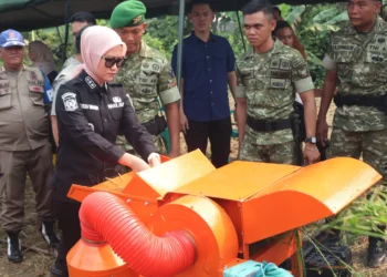 Wabup Lahat Hadiri Panen Padi Perdana Yonif TP 894, Perkuat Sinergi Dukung Ketahanan Pangan