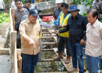 Bupati Lahat Tinjau Pembangunan BBI dan Rehabilitasi Irigasi di Tanjung Sakti Pumi
